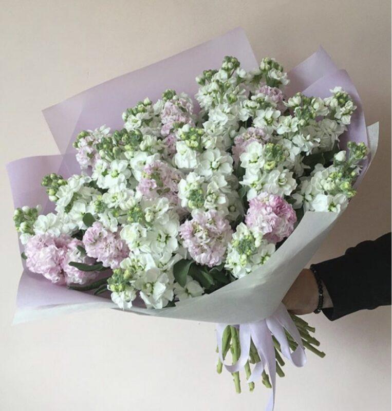 букет из матиоллы