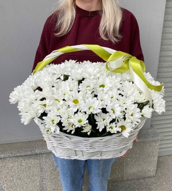 хризантема в корзине