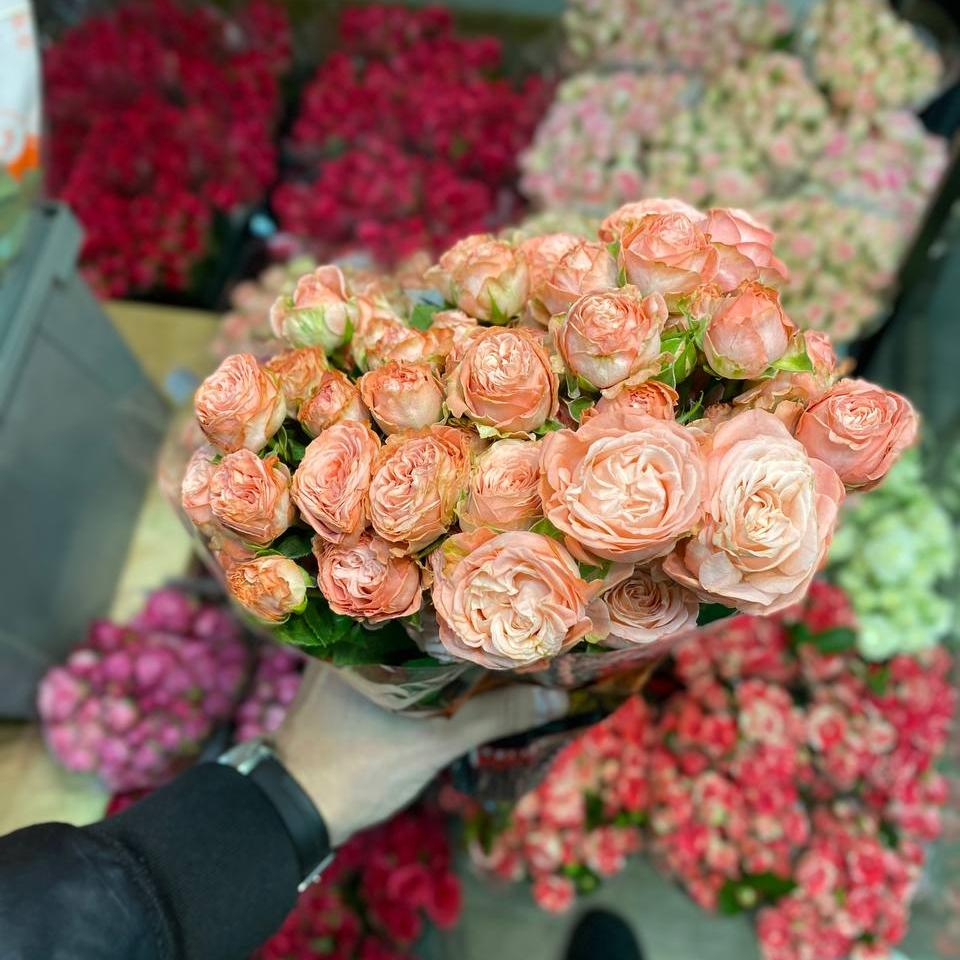 кустовая роза SUMMER ROSE